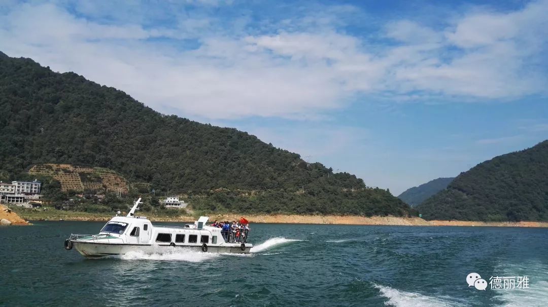 �����Ň��c����